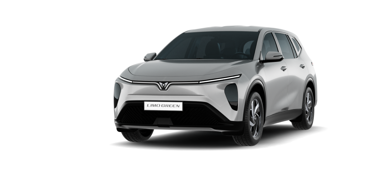 Limo Green_Silver_Tranaprent (20)